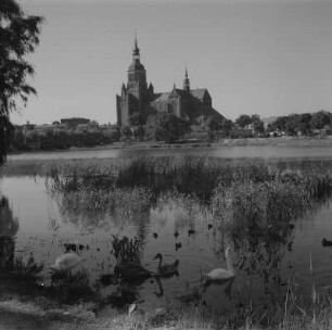 Stralsund. Blick über den Frankenteich zur Marienkirche
