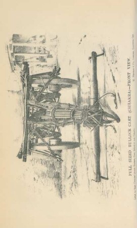 Full sized bullock cart (Chhakra) - front view