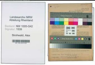 Entnazifizierung Alex Strohwald , geb. 08.02.1897 (Arbeiter)