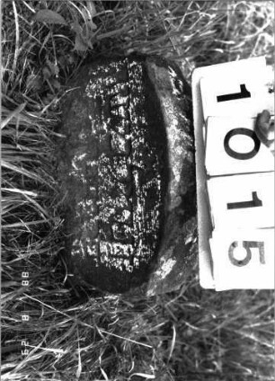 Grabstein 1015 (Index: 100099017) Maße HxBxT: 42x41x11 cm Besonderheit: Kindergrab: Grabstein 1015 (Detailaufnahme)