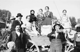 Donau: Bauernhochzeit, Hochzeitsgäste im Wagen