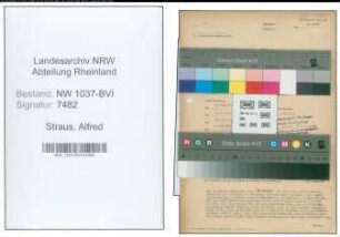 Entnazifizierung Alfred Straus , geb. 02.09.1889 (Reg.Inspektor)