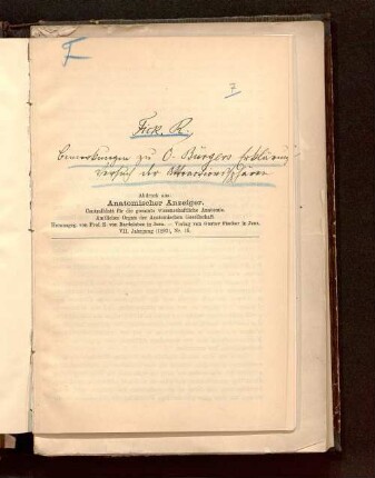 Bemerkungen zu O. Bürger's Erklärungsversuch der Attraktionssphären