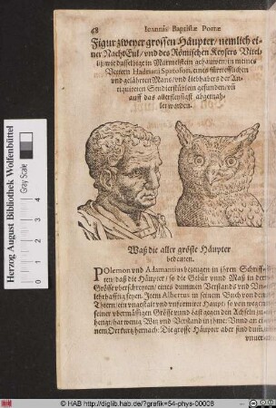Figur zweyer grossen Häupter nemlich einer NachtEul und des Römischen Kaisers Vitelii.