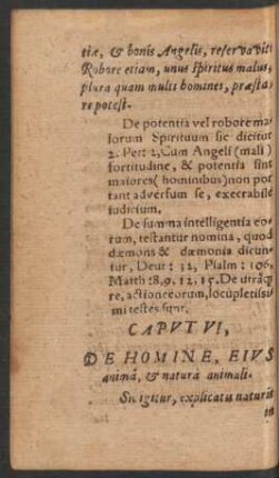 Caput VI, De Homine, Eius anima, et natura animali.