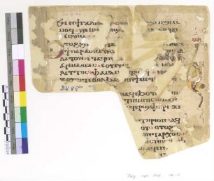 Mk. XV, 41 - 46