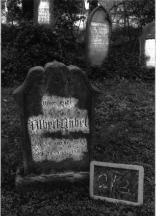 Grabstein 31 (Index: 99804840) Material: Sandstein Zustand: leicht verwittert Maße HxBxT: 73x45x15 cm Beschreibung: Stele, geschwungener Bogenabschluß Symbolik: Voluten: Grabstein 2/3