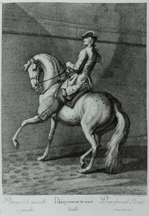 Schwedisches Pferd