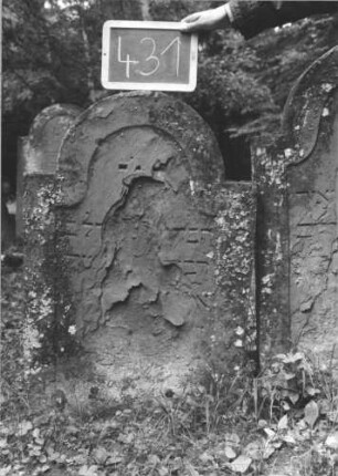 Grabstein 431 (Index: 99895175) Material: Sandstein Zustand: abgeblättert Maße HxBxT: 96x64x10 cm Beschreibung: Stele mit eingezogenem Rundbogenabschluss: Grabstein 431