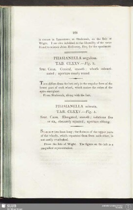 Phasianella minuta. Tab. CLXXV. — Fig. 3