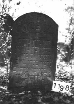 Grabstein 1198 (Index: 99899955) Material: Sandstein Zustand: unten angewittert, sonst gut erhalten, etwas eingesunken Maße HxBxT: 85x50x8 cm Beschreibung: Stele mit Segmentbogenabschluss, im Bogenfeld Blumen, etwas eingesunken Symbolik: Blumen: Grabstein 1198