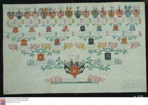 Ahnenprobe des Franz Ludwig v. Metternich Winnenburg u. Beilstein. - ausgefertigt 1743 Mai 18, Pergament