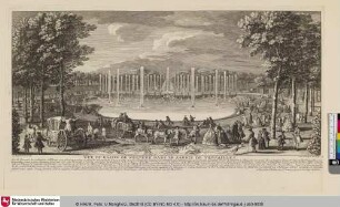 [Vuë des Bosquets du Jardin de Versailles:] Vuë du Bassin de Neptune dans le Jardin de Versailles