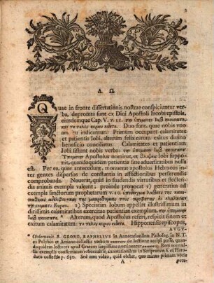 Patientiam Iobi et finem Domini : ad illustrandam et vindicandam historiam Iobaeam