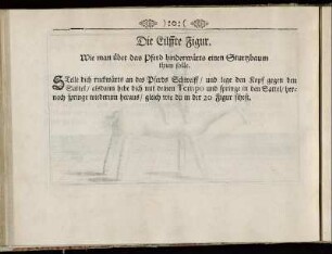 Die Eilffte Figur. - Die Funffzehende Figur.