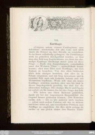 VII. Karthago.