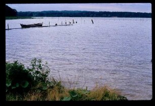Scharmützelsee 11.8.78.