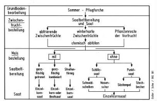 Sommer-Pflugfurche vor Maisbestellung