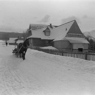 Zakopane. Pferdeschlitten auf einer Straße