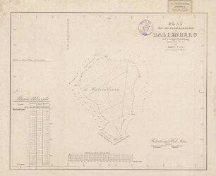 Plan über den Genossenschafts-Wald von Ballenberg auf dortiger Gemarkung