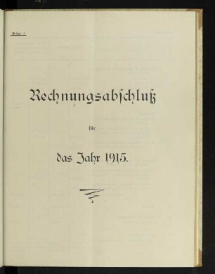 Rechnungsabschluß für das Jahr 1915.