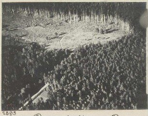 Waldlichtung, unbek.