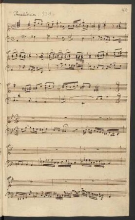 Stücke für Tasteninstrument. Skizzen; cemb; g-Moll; BWV deest