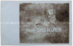Das Maskottchen der SMS "Delphin", der Hund "Barry"