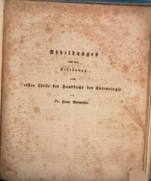 Handbuch der Entomologie, [6,1]. Abbildungen nebst deren Erklärung zum ersten Theile des Handbuchs der Entomologie