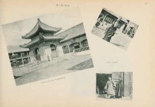 Peking