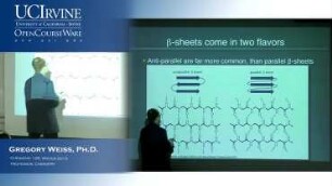 Lecture 11. Proteins and Amino Acid Conformations, Part 2.