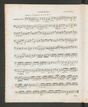 Contrabasso.