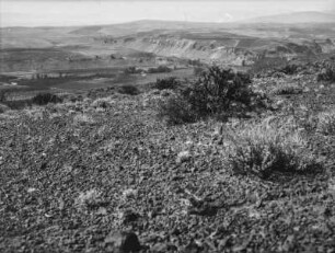 Yakima Valley : Blick in ein Talstück des Yakima Valley mit Bewässerungskulturen