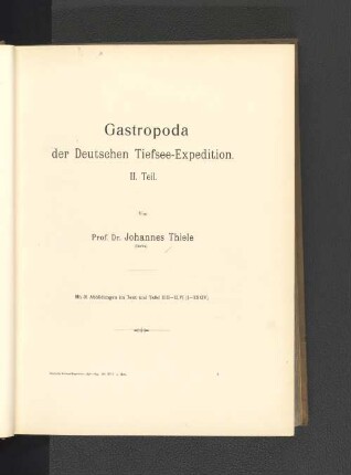 Gastropoda der Deutschen Tiefsee-Expedition. II. Teil.