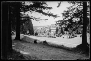 Braunlage. Stadtteilansicht mit Gemeindewiese