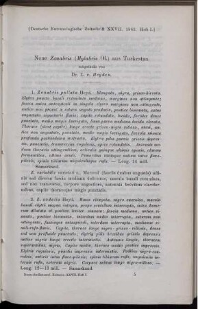 Neue Zonabris (Mylabris Ol.) aus Turkestan