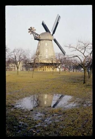Mühle Buckow 2.3.85.