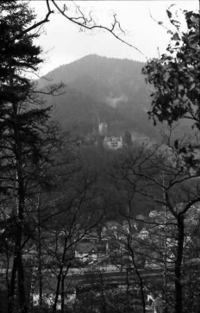 Hornberg: Burg Hornberg; Durchblick aus dem Wald