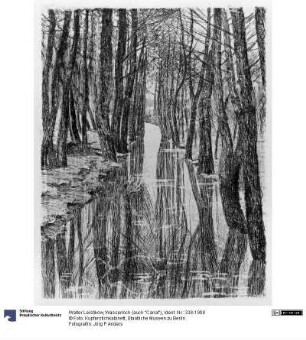Wasserloch (auch "Canal")
