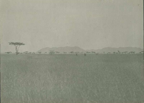 Die Ruwana - Steppe. Im Hintergrund die Barigi - Berge in Uschasch