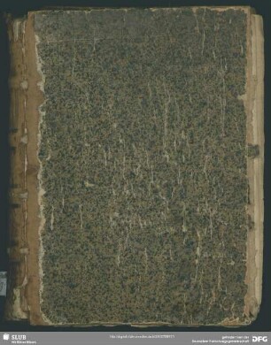 De Belgicis, Anglicis, Reginae Scotiae, Hispanicis, Et Gallicis Rebvs : recens allata