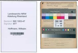 Entnazifizierung Wilhelm Hoffmann , geb. 09.08.1902 (Handlungsbevollmaechtigter)