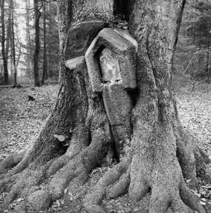 Bullauer Bild; Erbach, Kohlwald