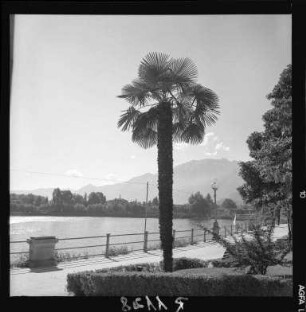 An der Seepromenade in Locarno