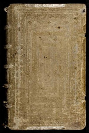 Annales Suevici siue Chronica rervm gestarvm antiqvissimae et inclytae Svevicae gentis