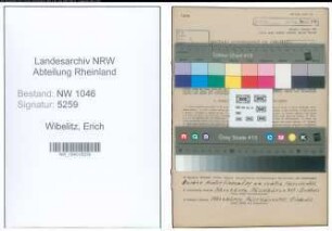 Entnazifizierung Erich Wibelitz , geb. 16.06.1899 (Bergmann)