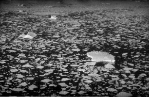 Kap Dan: Luftbilder, Eisberge und Eisschollen