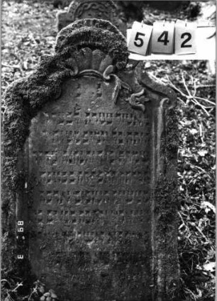 Grabstein 542 (Index: 99752998) Material: Sandstein Zustand: verwittert mit Textverlust Maße HxBxT: 112x67x9 cm Beschreibung: Stele, in Voluten auslaufender eingezog. Rundbogenabschl. , Schriftfeld eingetieft Symbolik: Muschel, Lilien, Voluten: Grabstein 542