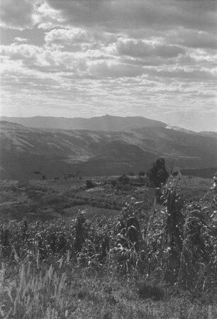 Vegetation einer Tallandschaft : Blick von einer Basalthochfläche über das Galeti-Tal gegen die Erhebungen des Chercher-Gebirges .