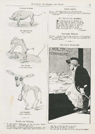 Ergänzungen zur Zoologie; Von seinem Standpunkt